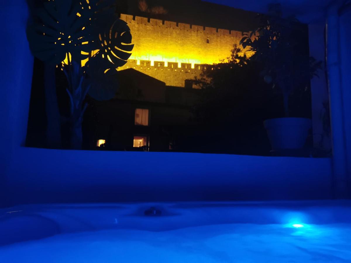 Le Cellier De Beaulieu, Au Pied De La Cite, Maison De Vacances Avec Climatisation Et Jacuzzi Carcassonne Eksteriør bilde