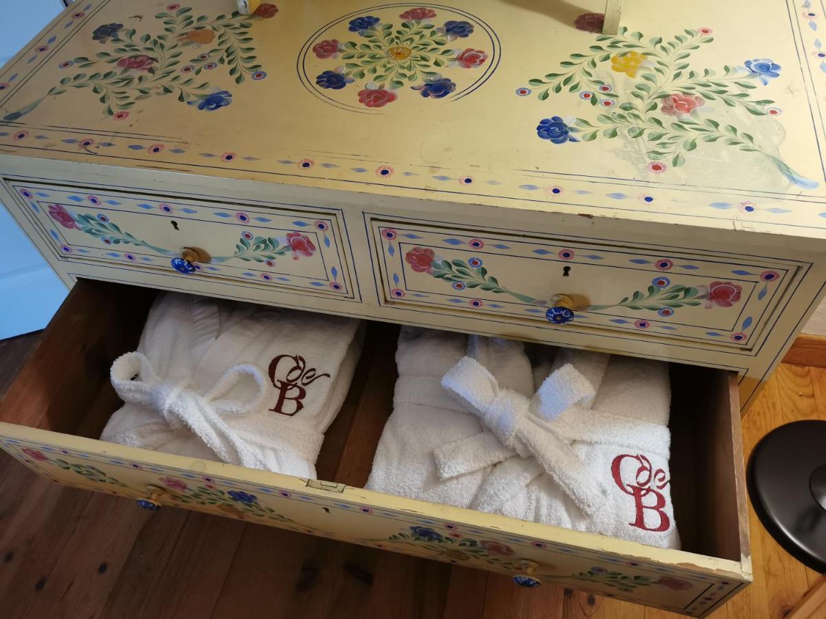 Le Cellier De Beaulieu, Au Pied De La Cite, Maison De Vacances Avec Climatisation Et Jacuzzi Carcassonne Eksteriør bilde